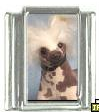 Dog charm - Chinese Crested Dog 3